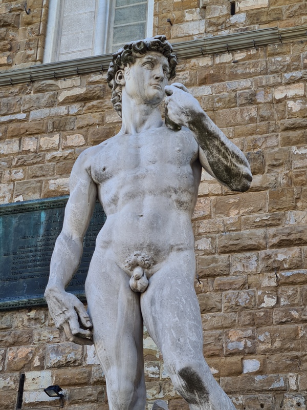 Florencie - socha Davida
