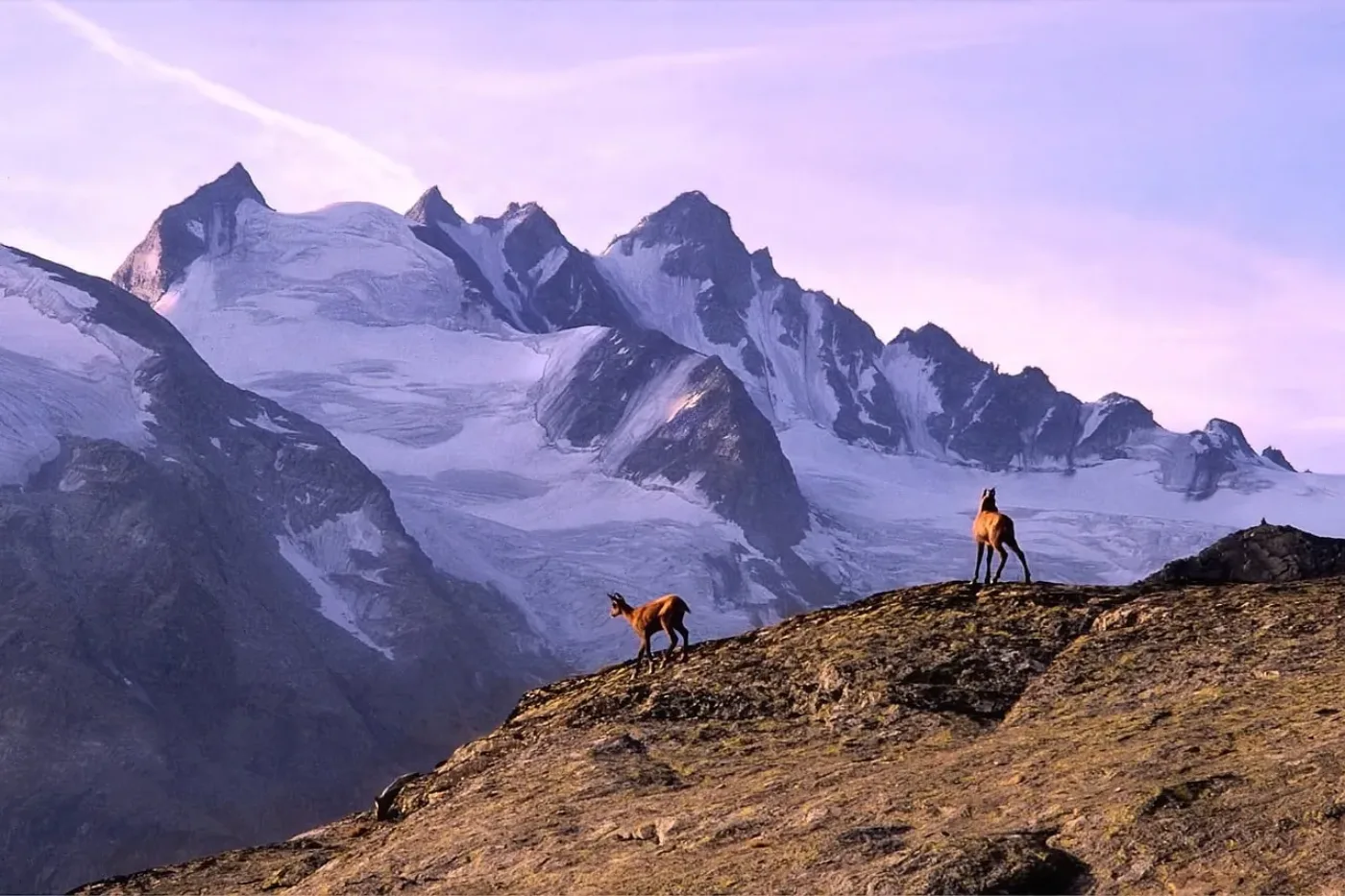 Národní park Gran Paradiso – ráj pro milovníky přírody
