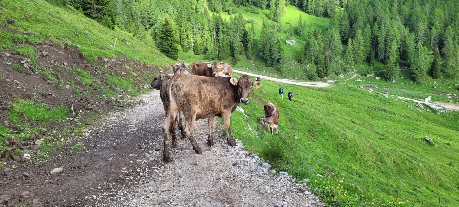 Srdcem italských Dolomit: ALTA VIA 1 - 3. den