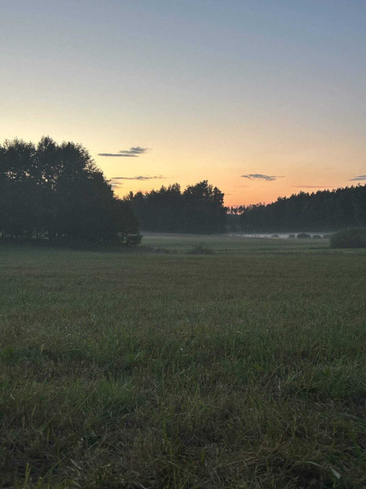 Stopem do Tallinu: 2000 kilometrů Svobody