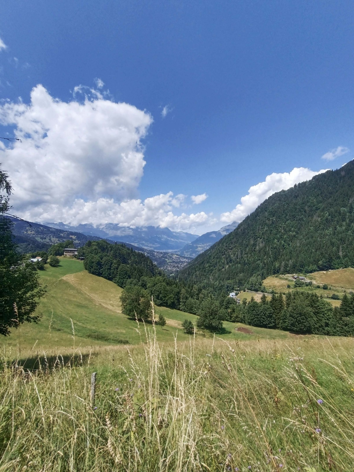Tour du Mont Blanc (TMB) - horský trek kolem nejvyšší hory Alp