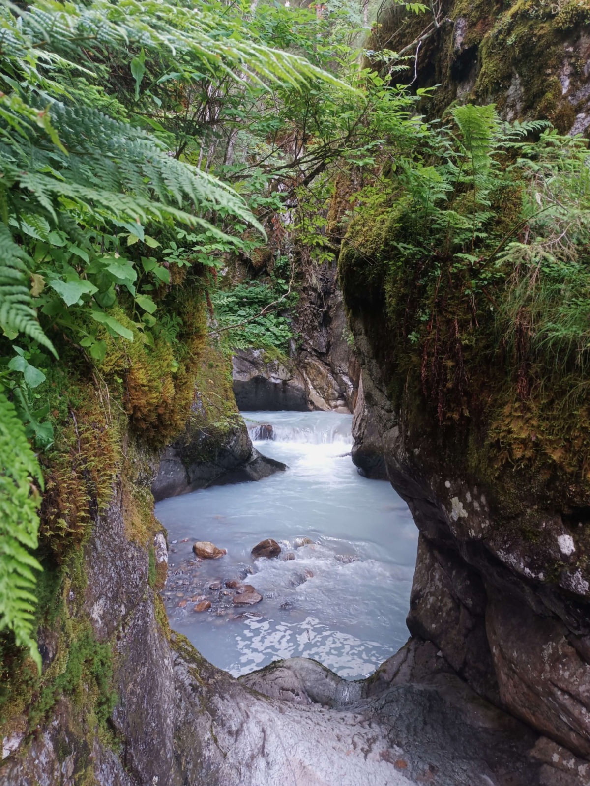 Tour du Mont Blanc (TMB) - horský trek kolem nejvyšší hory Alp